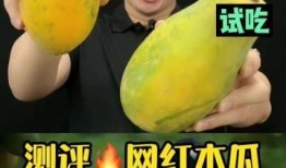 网红吃瓜评论,揭秘娱乐圈幕后真相