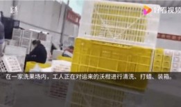 给澎湃新闻爆料安全吗,澎湃新闻如何守护公民信息安全